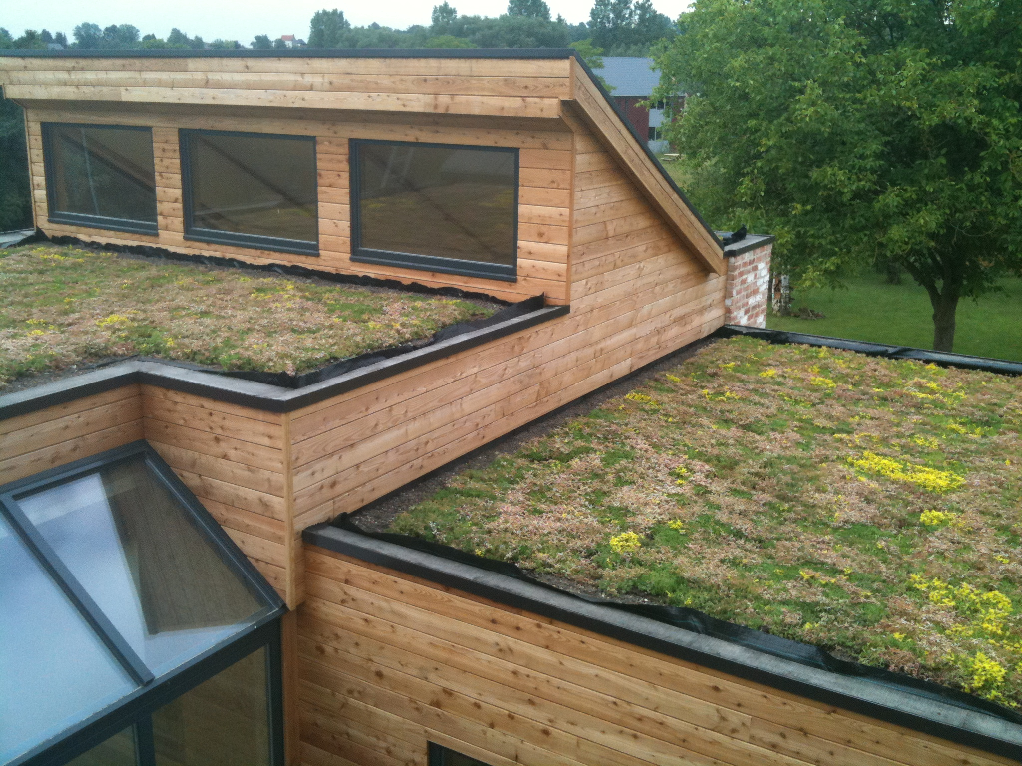Modification de bureau ,ossature bois, toit plat vert, bardage en bois